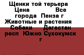 Щенки той терьера › Цена ­ 10 000 - Все города, Пенза г. Животные и растения » Собаки   . Дагестан респ.,Южно-Сухокумск г.